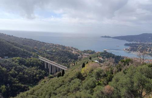 Casa Lela - San Bernardino - Foto 11