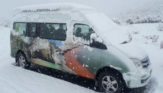 Minibus for the trip