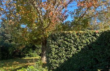 Ile d oléron Vertbois, Villa Bois Piscine et mer - Foto 25