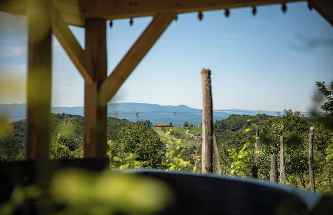 Vineyard cottage Škatlar 3 - Foto 14