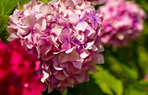 Apartment Veroeva - Photo 29