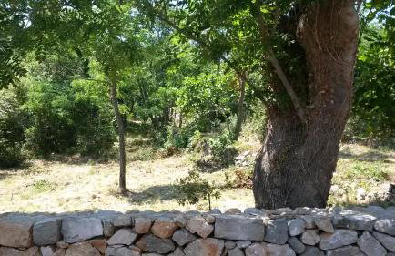 Home Lotus Flower - Foto 7