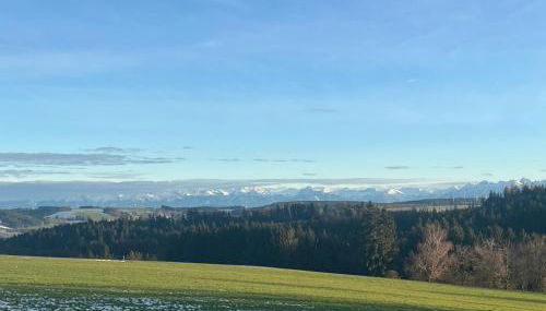 Ferienwohnung Cilli - Foto 4