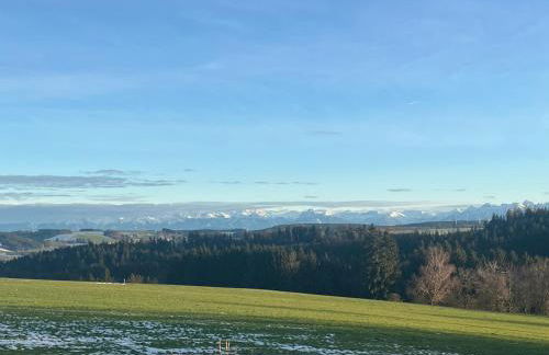 Ferienwohnung Cilli - Foto 4