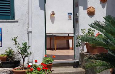 JANET HOUSE - Foto 32