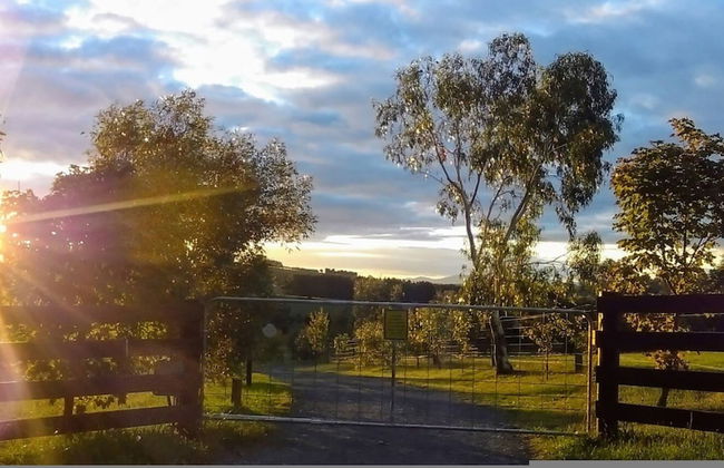 Jilly Park Farm Interactive Experience - Foto 10