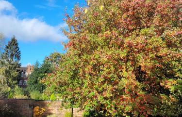 The Manor Lodge, Repton - Foto 40