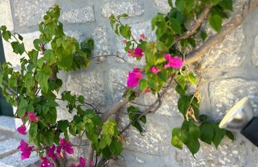 Terra Mani stone rental apartments - Foto 33