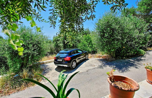 Villa Alexandros in Nisaki - Photo 59