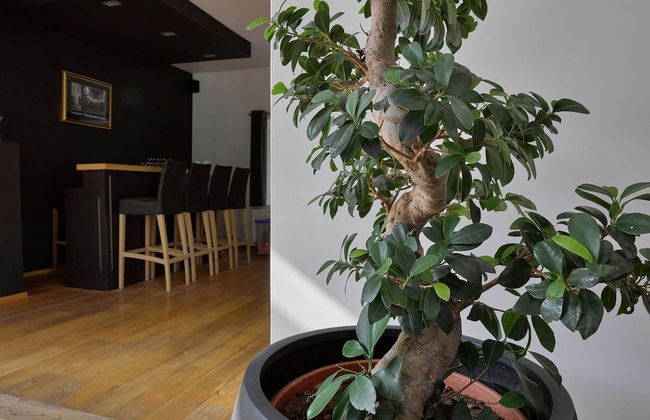 Holiday Home in Spa Near Thermal Baths - Foto 48