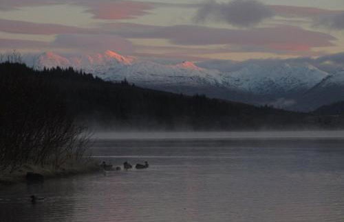 The Old School - Foto 1