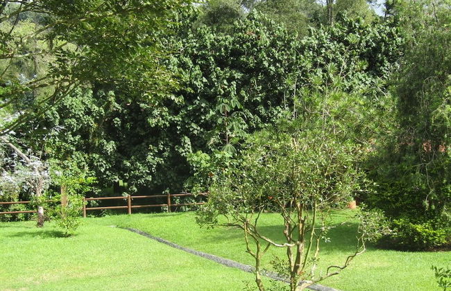 River Front Cabains - Foto 40