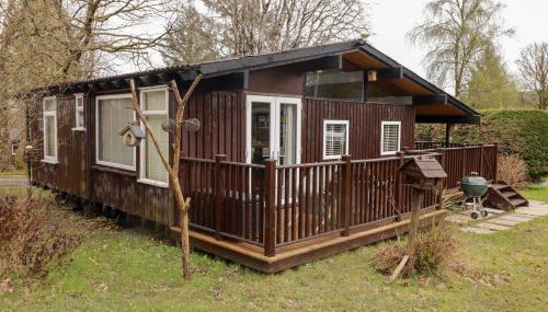 The Bird House - Foto 2