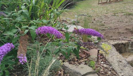 YS EO, La maison sur le port de Tréboul - Foto 4, Garden