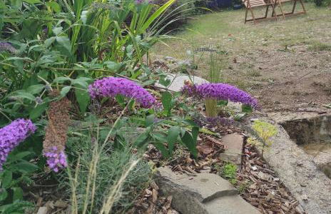 YS EO, La maison sur le port de Tréboul - Foto 4