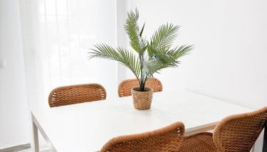 Apartamento La Sal Centro - Foto 3