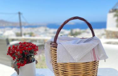 THE VIEW OF MYKONOS - Foto 60