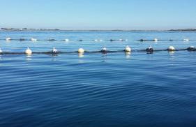 Chambres d'Hôtes de la Presqu'Île - Foto 25