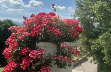 Athena Casa Vacanze - Foto 61