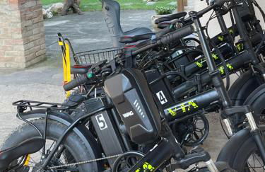 Az. Agr. Parco dei Buoi - Foto 73