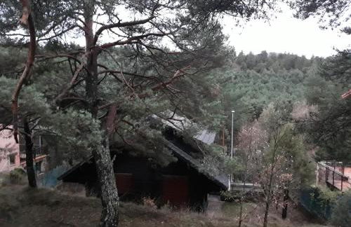 Cañon del río Lobos-La cabaña de Ton - Foto 51