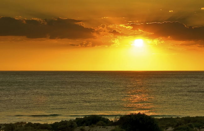 Scarborough & Absolutely Beachfront - Foto 28