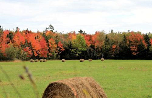 Spacious Ranch-Style Retreat with Private Deck, Nestled in Nature Near Acadia, Hancock Maine - Foto 13