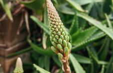 Allin home - Foto 41