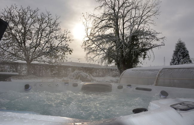 Château de Ribourdin - Foto 27