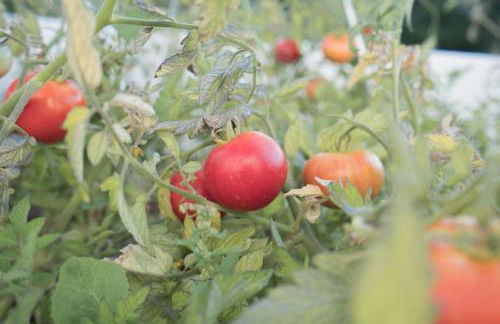 Casa a pequena sereia in Benagil with sea view - Photo 26
