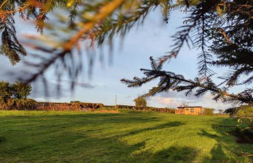 Fir Tree Shepherd's Hut - Photo 20
