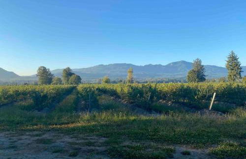 Riverfront Getaway on the Wild and Scenic - Foto 12