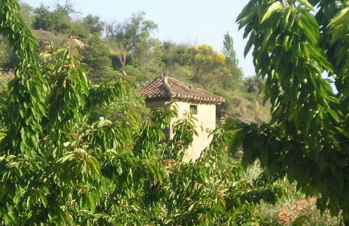 Casa Tia Maria, Acequias - Foto 50