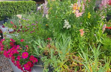 Papa's place - Foto 25