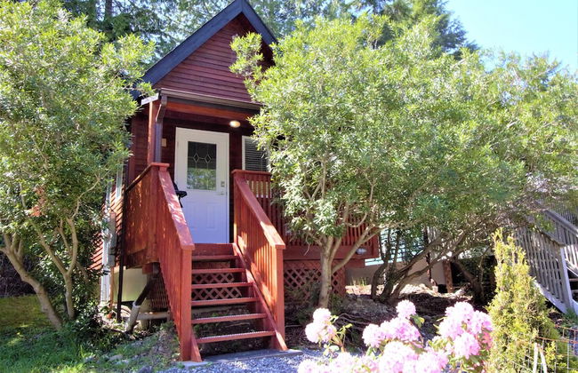 West Coast Cabin - Photo 4