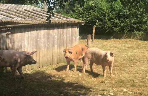 Agriturismo La Montina - Foto 45