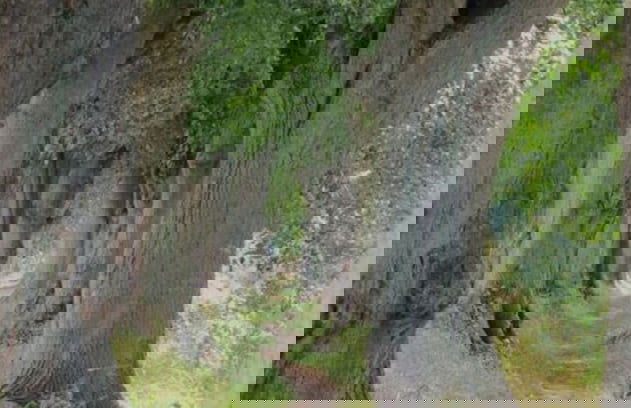 Holiday Home Reed Path - Photo 9