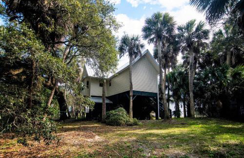 Green Parrot - Foto 4