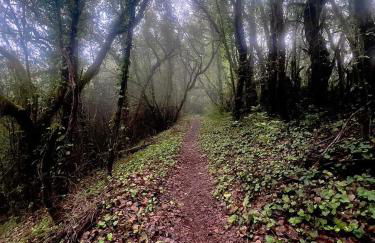 Casa Rural La Vega - Photo 47