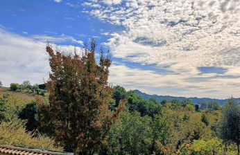 Il Rigogolo - Nature, Pool and Confort near the Center - Foto 21