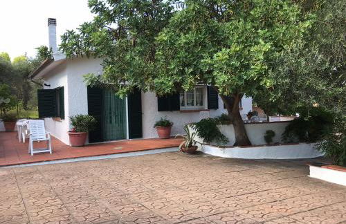 Villa Il Carrubo - Basilicata - Foto 14