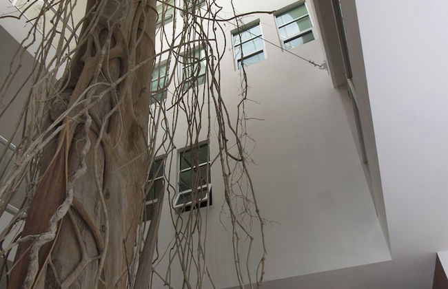 Downtown Apartment Oasis 12 - Photo 49