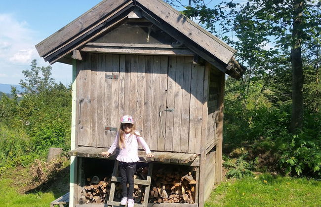 Schone Wohnung im Bayerischen Wald - Photo 48