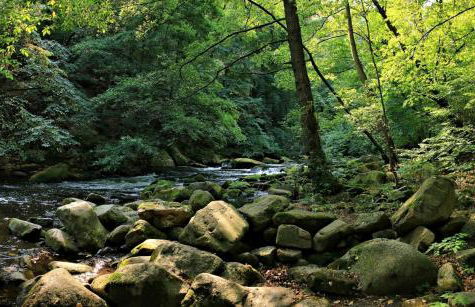 Ferienwohnungen Treseburg "Zur Bodehexe" - Foto 42