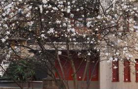 Danae Home - Foto 14