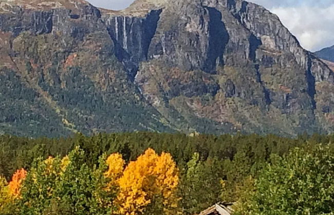 4 Person Holiday Home in Hemsedal - Foto 29