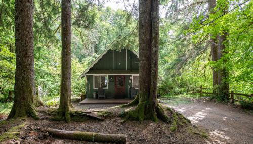 Fog & Fern Hideaway - Cozy Cabin w Private Hot Tub near Mt Rainier - Foto 3