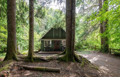 Fog & Fern Hideaway - Cozy Cabin w Private Hot Tub near Mt Rainier - Foto 3