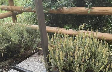 La casa di Noah - Foto 61