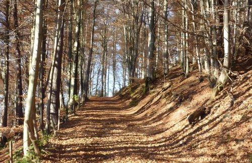 Haus Harter - Foto 20